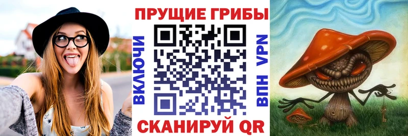 Псилоцибиновые грибы мухоморы  где купить   Ишим 