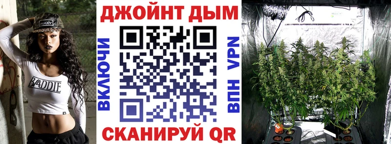omg ссылка  Ишим  Шишки марихуана сатива 